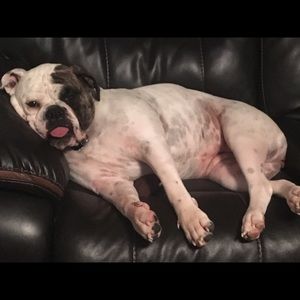 Meet your Posher, Mackenzie